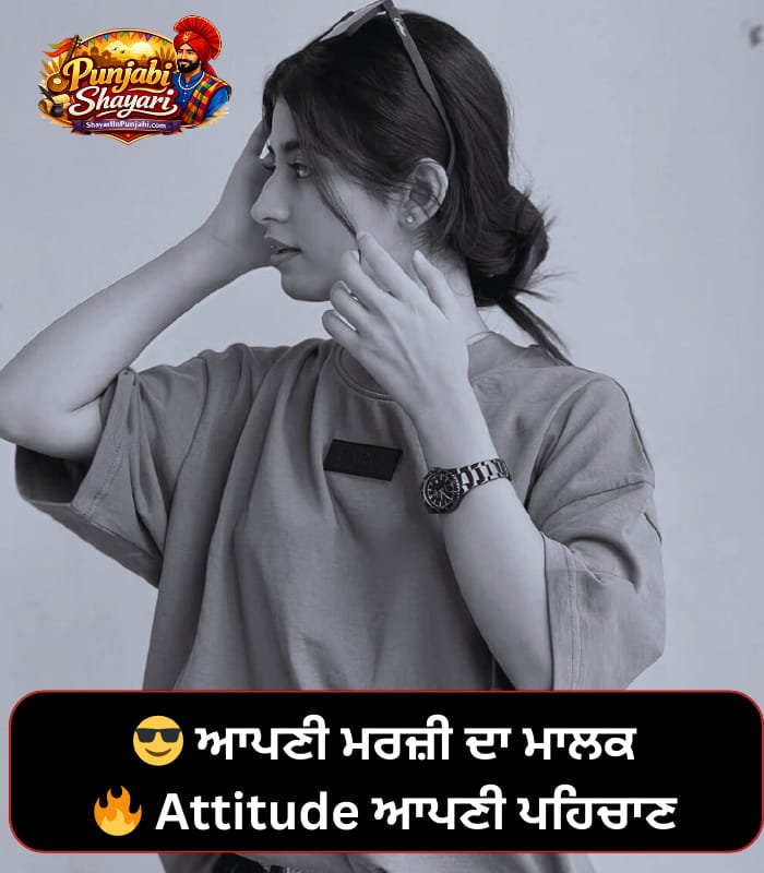 Instagram Bio Punjabi Shayari Attitude