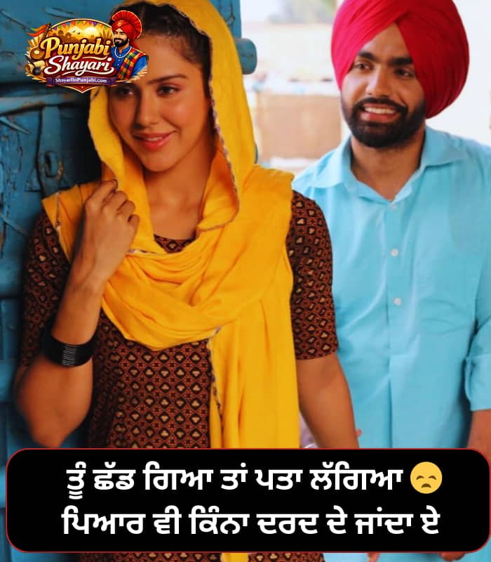 Punjabi Shayari Love in Hindi